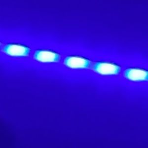 Meet your Posher, Ella